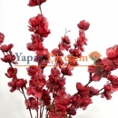 Bordo Bahar Dalı