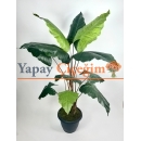 Alocasia Fil Kulagı Yapay Agaç