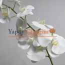 Yapay Beyaz Orkide