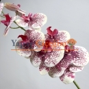 Pembe Orkide Yapay Çiçek