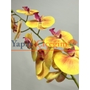 Sarı Islak Yapay Orkide