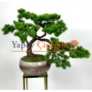 Yapay Bonsai Ağacı