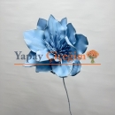 Mavi Büyük Zambak Çiçegi