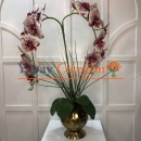 Fuşya Beyaz İkili Orkide İthal Vazo