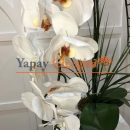 Beyaz İkili Orkide İthal Gümüş Vazo