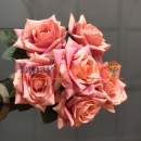 Pembe Kumaş Gül Klasik