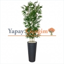 Saksılı Yapay Bambu Ağacı