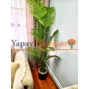 1.80 Yapay Areka Palmiyesi