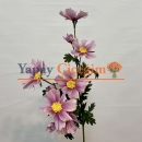 pembe papatya