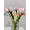 pembe ıslak lale