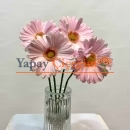 pembe ıslak papatya