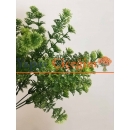 Dekorasyon İçin Uygun Yapay Çiçekler