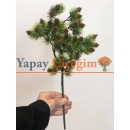 Kozalaklı Yapay Çamdalı