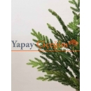 Yapay Mazı Yaprağı