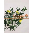 yapay limon dalı