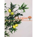 limon çiçeği yapay
