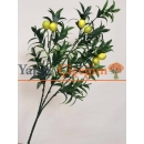 uzun saplı limon