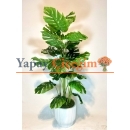 Yapay 3 Lü Monstera Ağacı