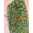 Yapay Panel Şimşir 60x40 cm