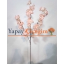 Yapay Somon Bahar Dalı