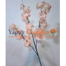 Yapay Somon Bahar Dalı