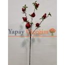 nar dalı
