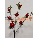 uzun nar ağacı