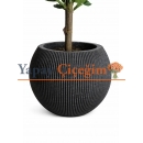 Mutfak İçin Yapay Ağaç