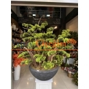 Premium Yapay Bonzai