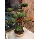 Aisha Yapay Bonzai Ağacı