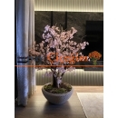 Yapay Ağaç Doğal Gövdeli