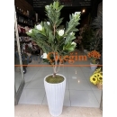 Yapay Manolya Ağacı