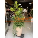 Hotel Yapay Ağaç Modelleri Hotel Yapay Ağaç Modelleri