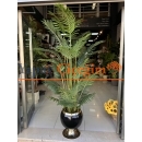 Salon Çiçeği