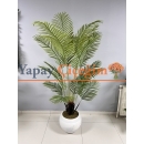 Yapay Areka Ağacı Fiyatları