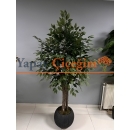 Yapay Benjamin Ağacı