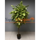 Ucuz Yapay Agaç Çeşitleri