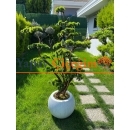 Lüks Yapay Bonzai Ağacı