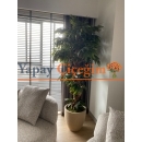 yapay mango ağacı