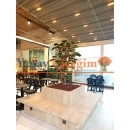 1.70 mt Saksısız Yapay Bonzai Ağacı – Dekoratif Ofis ve Ev Bonsai Modeli