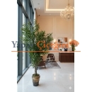 metal saksılı zeytin ağacı