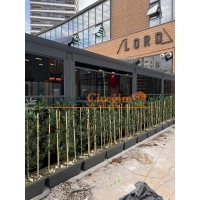 Bambu Seperatör Plastik Saksılı