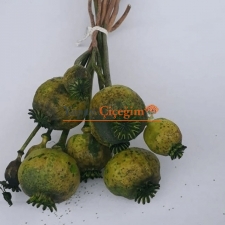 Yeşil Haşhaş Otu - Dogal Papaver Kuru Çiçek - 1727