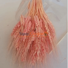 Pembe Başak Otu - Kuru Çiçek - 1406