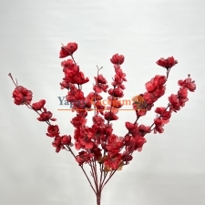 Bordo Bahar Dalı çiçeği