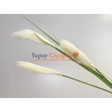 Pampas Çiçek