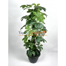 Schefflera Şeflera Yapay Agaç