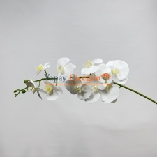 Yapay Beyaz Orkide Çiçeği