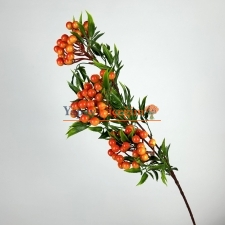 Turuncu Uzun Saplı Kokina Çiçeği - Kış Çiçeği - Kukina Çiçeği