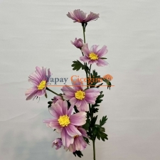 pembe papatya